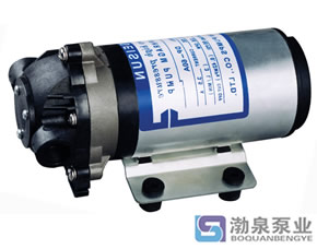 DP微型隔膜泵_微型直流高压隔膜泵
