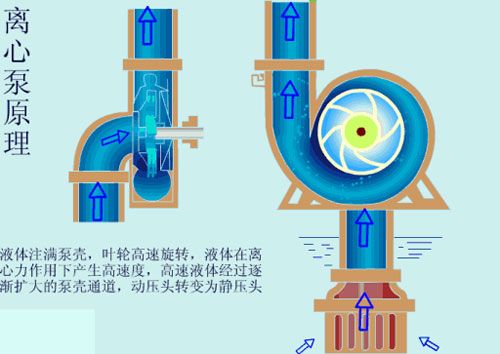 离心泵启动时要不要关闭出口阀门