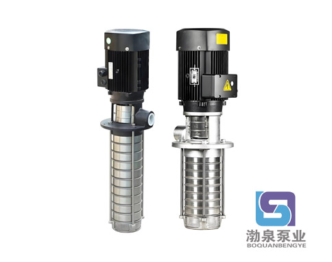 CDLK2-70/7|不锈钢浸入式多级泵